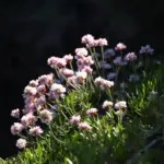 9 morgenrutiner til småbørnsfamilier