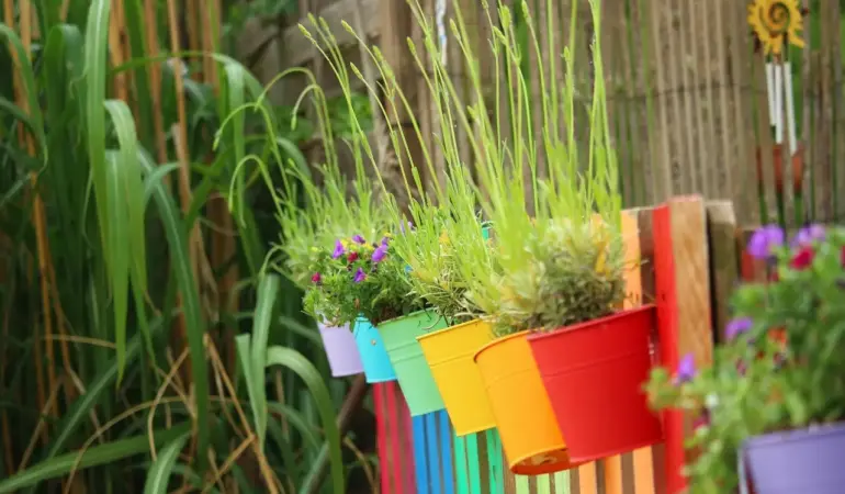 7 tørketålende planter til solrige krukker