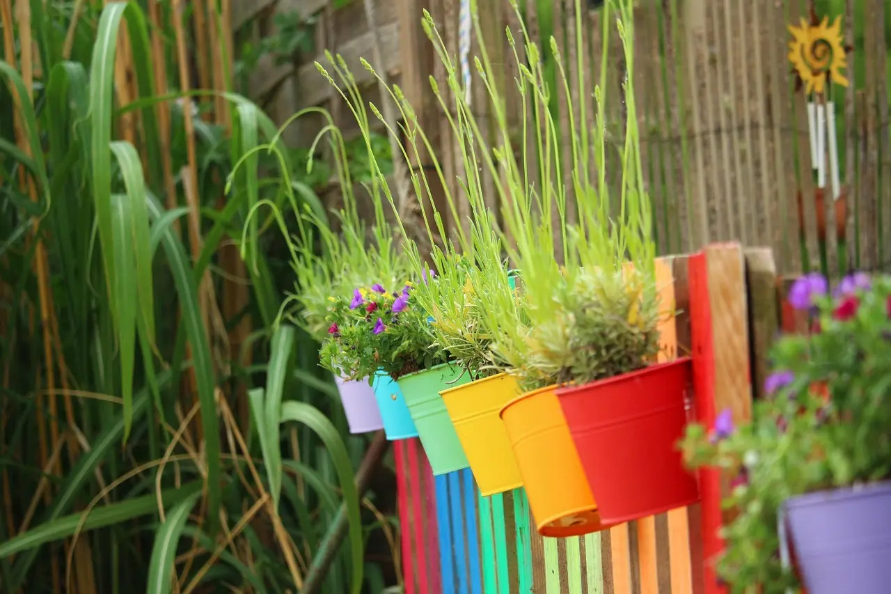 7 tørketålende planter til solrige krukker