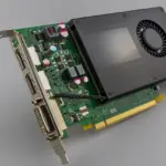 7 hårdføre stauder til sandjord i kysthaver