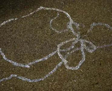 9 sneglesikre grøntsager til køkkenhaven