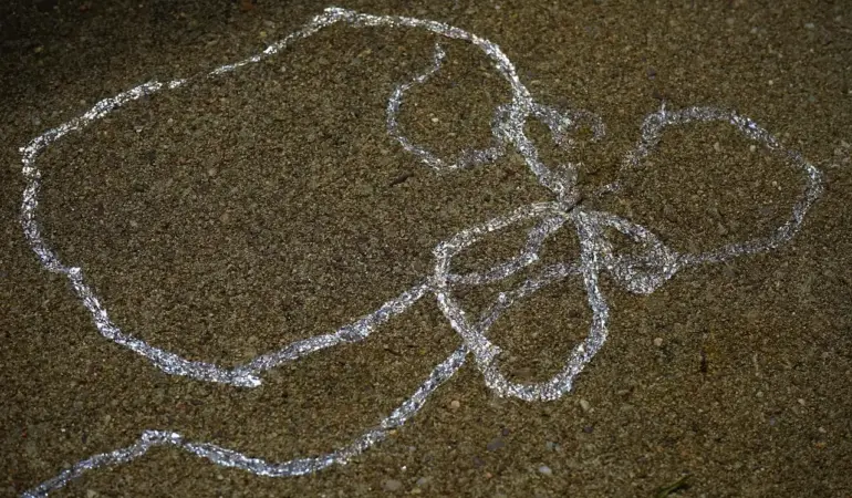 9 sneglesikre grøntsager til køkkenhaven