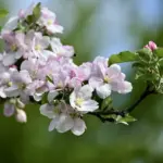 Hvem betaler ejerskifteforsikring? – Køber eller sælger: Få styr på regningen før overtagelse