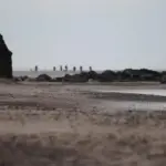 Danmark og EU: Landets forhold til den europæiske union