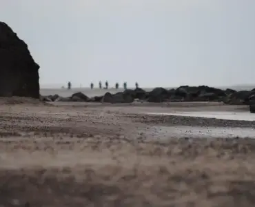 Danmarks fremtid: Hvordan landet planlægger at tackle udfordringerne i det 21. århundrede.
