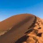 Danmarks politik: En oversigt over landets politiske system og partier