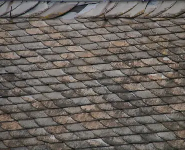 Hvad dækker en husforsikring? Undgå dyre overraskelser - din guide til korrekt dækning