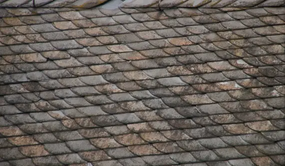 Hvad dækker en husforsikring? Undgå dyre overraskelser - din guide til korrekt dækning