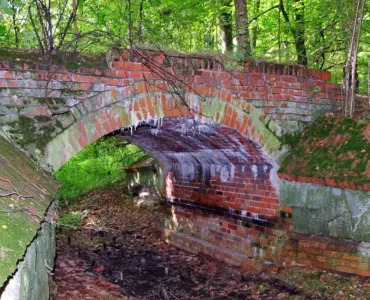 Hvad er en faskine? Den skjulte helt mod oversvømmelser i haven