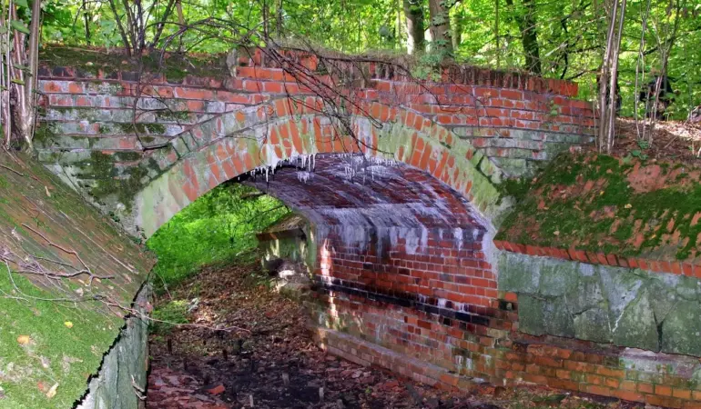 Hvad er en faskine? Den skjulte helt mod oversvømmelser i haven