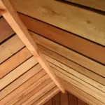 Hvad koster et hamster i Plantorama? Pris, pleje-tips og 5 overraskende sandheder