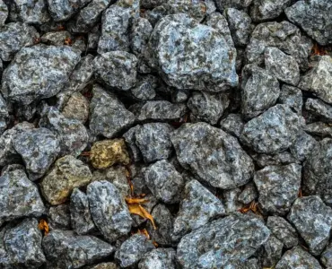 Hvad er organisk gødning? Opdag hemmeligheden bag frodige haver og sunde planter