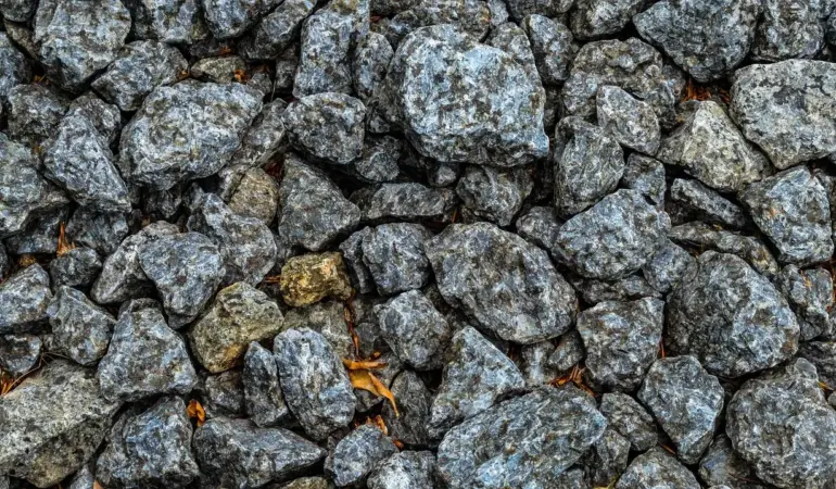 Hvad er organisk gødning? Opdag hemmeligheden bag frodige haver og sunde planter