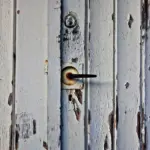 Hvornår topper man drivhusagurker for at få det bedste udbytte?