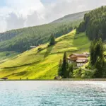 11 stauder der blomstrer fra maj til oktober