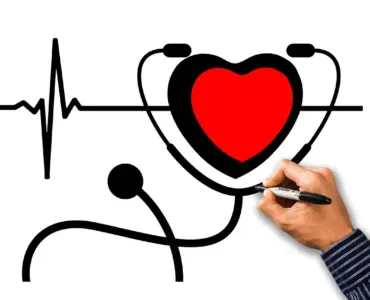 Hvad koster en anlægsgartner i timen? Sådan får du kvalitet uden at betale for meget