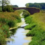 Vinduesudskiftning i bevaringsværdigt hus: regler og U-værdier