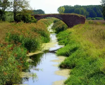 Hvad koster en faskine? Alt om pris, installation og smarte besparelser