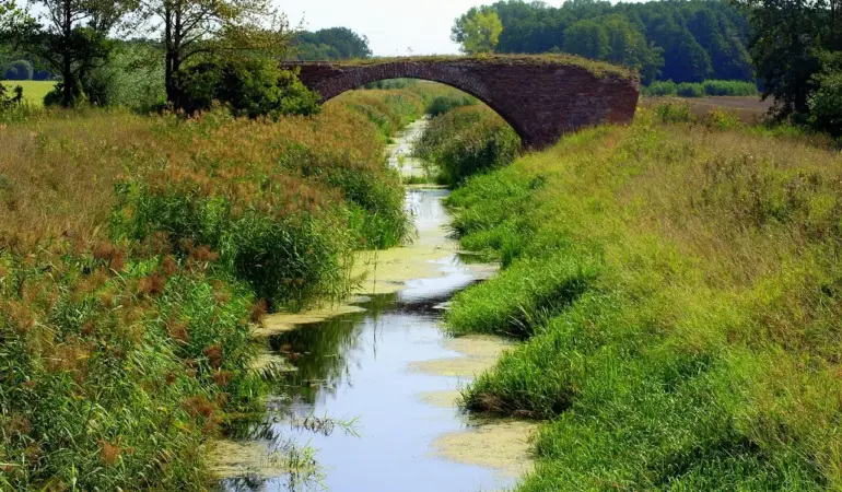 Hvad koster en faskine? Alt om pris, installation og smarte besparelser