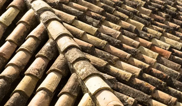 Hvad koster tegltag? Få styr på priser, levetid og skjulte omkostninger
