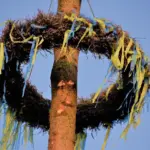 Hvornår skal man klippe sommerfuglebusk ned? Sådan får du flere blomster og længere blomstringssæson