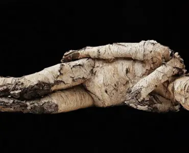 Hvor gammel er Søren Vester? Det overraskende svar og hvad det betyder