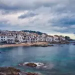 7 tørketålende planter til solrige krukker