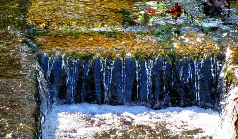 Omfangsdræn ved en våd kælder: metoder og budget