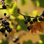 9 tegn på sætningsskader i murværket